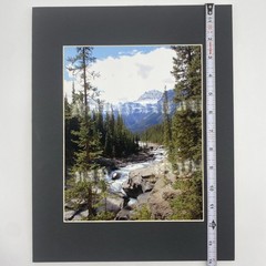 Matted Forest River Landscape Photo Print 11 X 14 Wall Art Gallery Decor