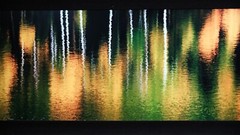 Jared & Trish McMillen «Aspen Pops» L.E. 15/250 Nature Photo Framed 62″ x 29″