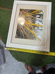 Michaels White Framed Nature Photography 11×14 Gold Grass Forest Wall Art