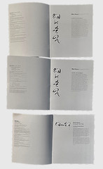 RARE All 3 Versions «Eikoh Hosoe Photographs 1960-80» 1982 Exhibition Catalogues