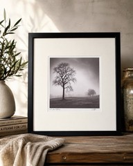 Richard Calvo ‘In Just Spring’ Framed Black & White Landscape Tree Photograph