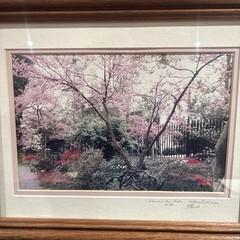 Cherry Blossom Photo Limited Edition # 4/89 Hand Signed Framed 16 1/2”x 13 1/2