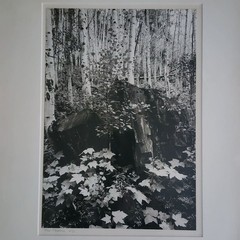 Signed Rick Preston 1973