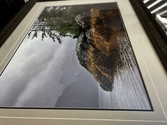 Thomas D. Mangelsen Guardian of Knight Inlet Rainforest Landscape Framed Photo