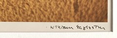 William Eggleston signed color photograph of beach sand