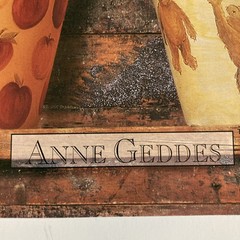 Ann Geddes, Babies in Costumes and Flower Pots. Original Poster #8380