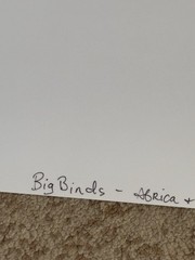ORIGINAL SIGNED FINE ART PHOTOGRAPH BIG BIRDS AFRICA & USA ESTATE FIND NEW YORK