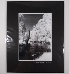 Black Mat Photo Landscape Park Infrared Photography Limited Ed 2/2 Signed Print