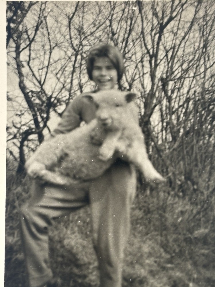🐑Vintage Photo Girl with Lamb circa 1950s, 6×9 cm, inscribed on the back