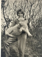 🐑Vintage Photo Girl with Lamb circa 1950s, 6×9 cm, inscribed on the back