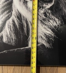 Baheux Laurent 2007 ‘Lion In The Wind V’ Limited Edition #33/500 • Framed