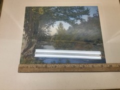Signed Wallace Nutting 1921 «An Autumn Canopy» Hand Colored Photo ~ Framed