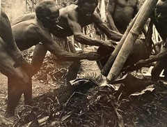 VINTAGE INDIGENOUS FIGURE PORTRAIT STUDY BLACK AND WHITE PHOTOGRAPH