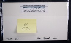 Boris Starosta 3D Stereoview – Betty 4011 – nude model signed 2001