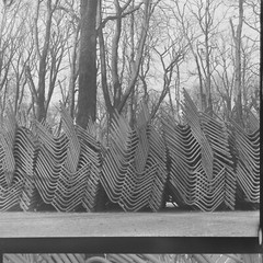 Photo On Silver Paper Tuileries Chair Paris 1960 Size 30x30cm