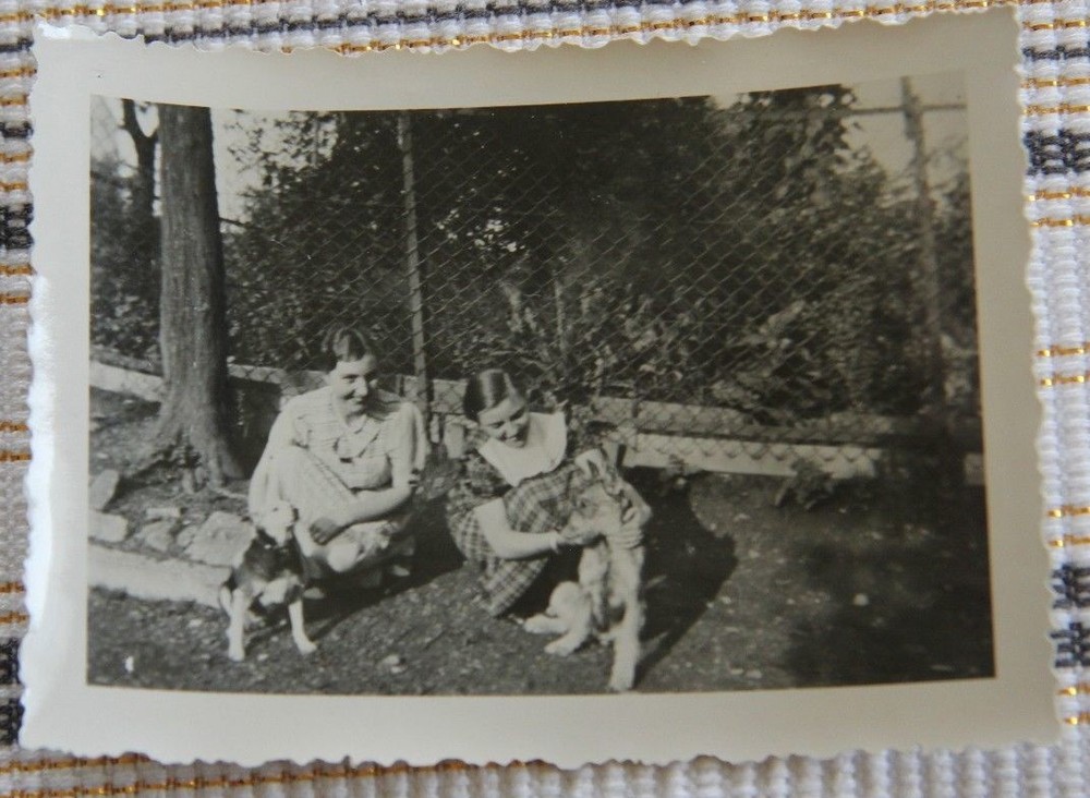 Photo girl girls pretty sweet woman woman dog A1