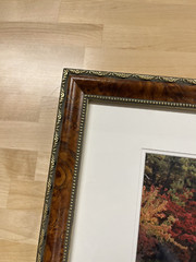 Chatfield’s Photograph (17/200) John Todaro Print Framed ( 22″ X 18″ )