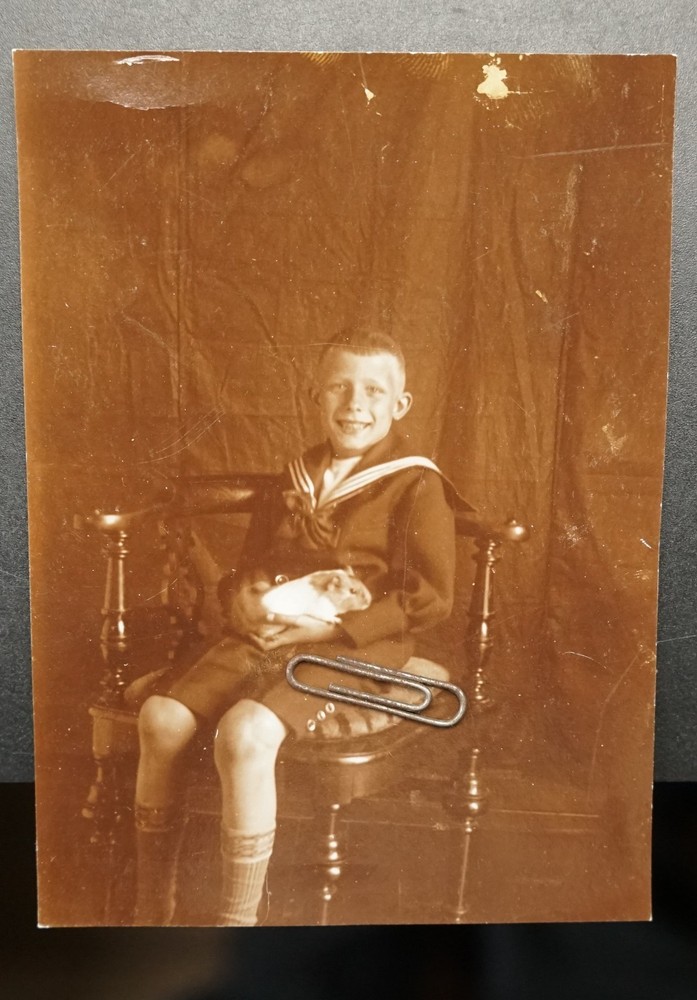 Photo Portrait Child Furniture Pet Guinea Pig Boy Sailor Rodent Chair Costume