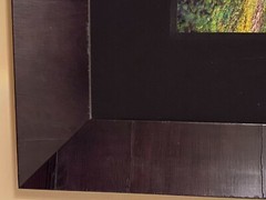 Peter Lik «Tree of Life” Signed, Limited Edition, Photo #12/950 1.5M SOLD OUT