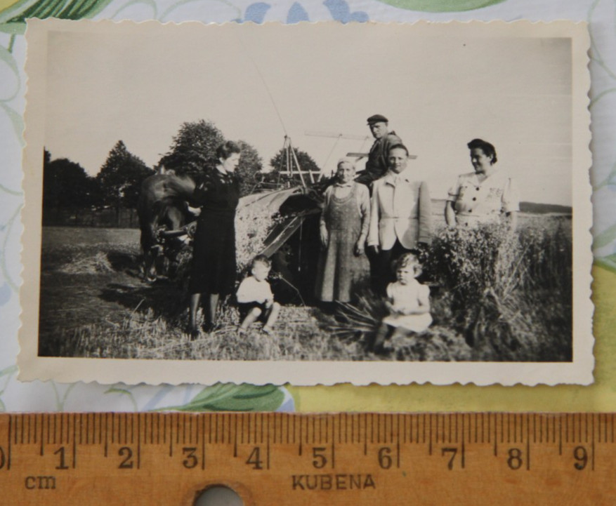 Photo 1934 threshing machine horses people farmers grain harvest girl vintage AW