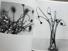 🎈SIGNED w Drawing! Nobuyoshi Araki – HANA-JINSEI, 2002 Japan Limited Ed, Unique