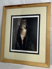Looking Out Of The Shadows Wolf Print Ken Jenkins With Wood Frame
