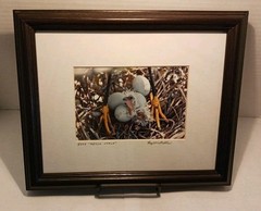 Framed Signed Photo 8773 «Hello World» by Ray Mosteller 11.5″x9.5″ Bird Nest Egg
