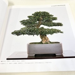 Nihon Bonsai Sakufu Ten 5th 1980 potted plants Japanese tradition art Photo Book