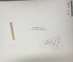 Original A AUBREY BODINE ‘Still Life’ HL MENCKEN Desk Drawer w CIGARS Photograph