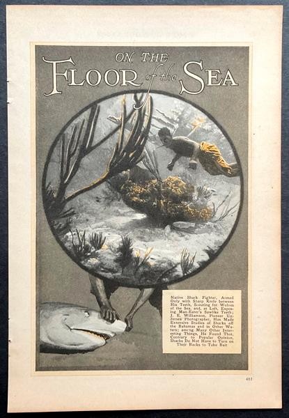 “On the Floor of the Sea” Williamson 1931 article Underwater photographer~Sharks