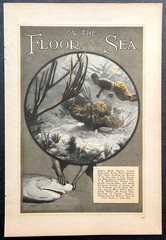 “On the Floor of the Sea” Williamson 1931 article Underwater photographer~Sharks