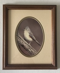 Rick Denomme Bird Photography Set of 4 Framed Cardinal Chickadee Titmouse Signed