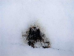 Jean Claude Chastaing – Photo Original – Digital – Abstraction 121