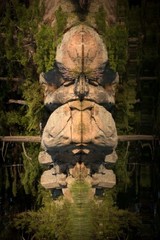 Totemic – Leader