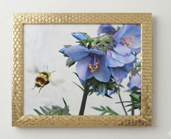 8×10 Photo Bumblebee Blue Bellflowers Nature Gold Honeycomb Framed Audra Deane