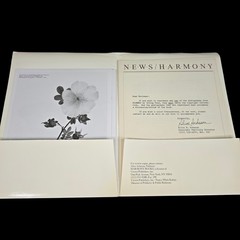 Irving Penn Flowers Press Release With Photos