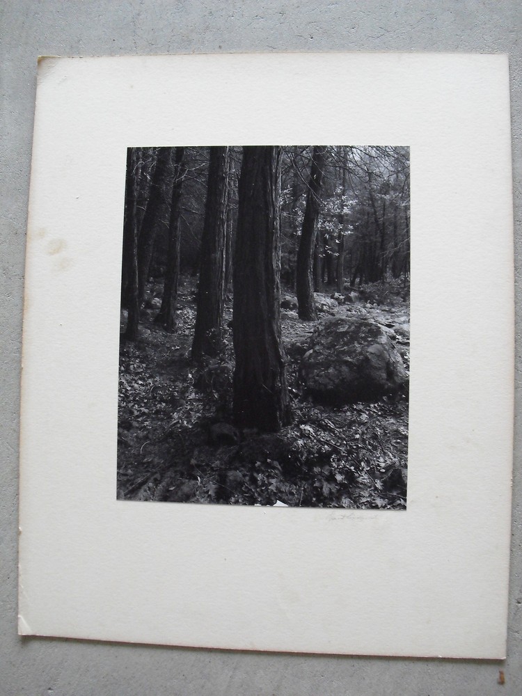 Vintage Signed David Lindquist Photograph Pines & Rocks Near Bridal Veil Creek