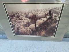 (New-Sealed & Matted) ’84 Erskine Wood Hand Signed «Preaching to the Flock»