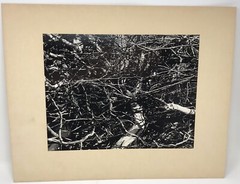 Vintage Matted Black & White Photography Nature 16” x 20” Pacific NW Photo Art