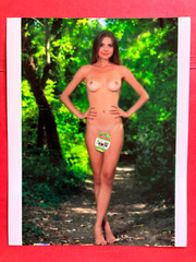 Brunette Hands On Hips Jungle Road . glamour 8×10 photo . Amateur Art Model