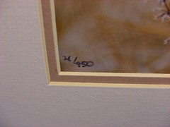 Warren Magill «Short Earred Owl» LTD ED Signed Color Photograph