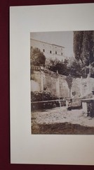 Vtg Italian Villa Photograph: 8964 Dettaglio della scala, Villa d’Este – Tivoli