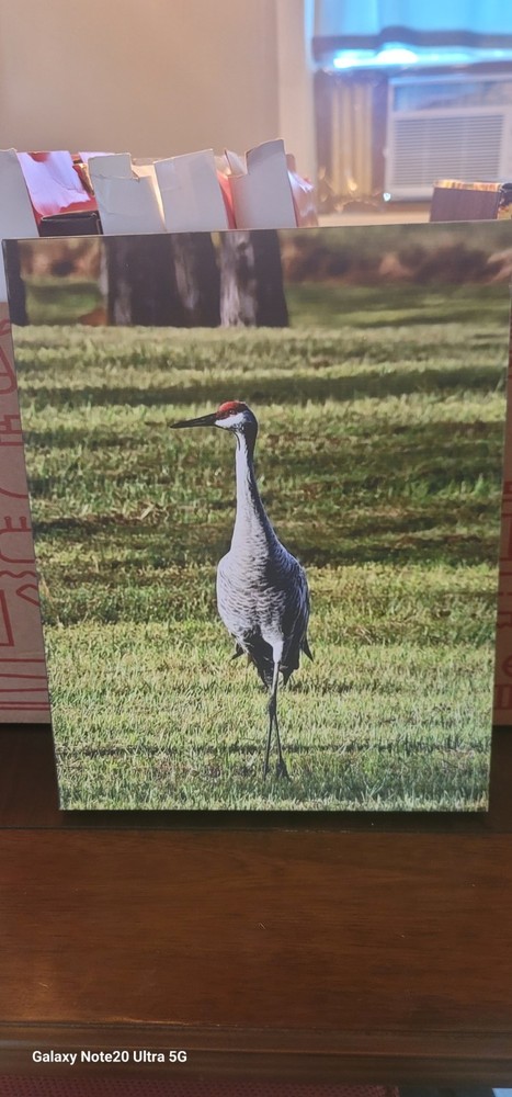 11x14in Canvas Print For Sale