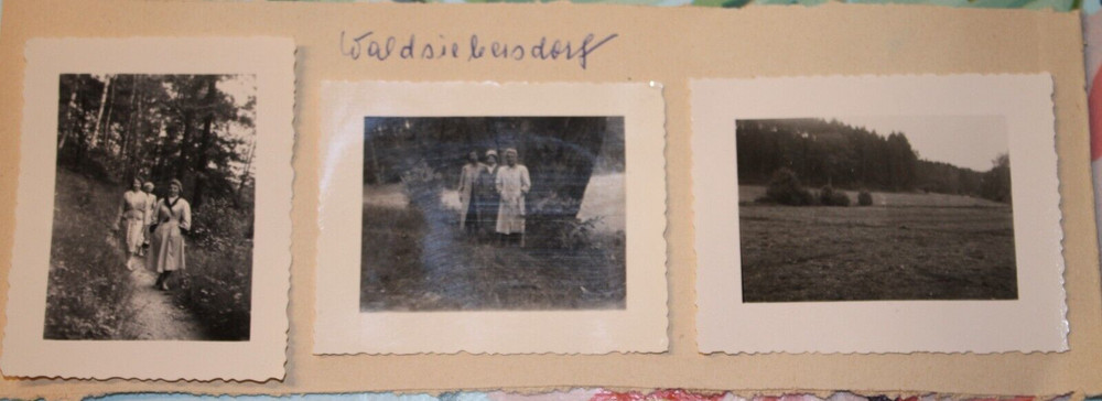 3x photo GDR Waldsiebersdorf 1956 woman girl women Brandenburg nature vintage MG