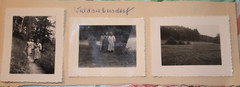 3x photo GDR Waldsiebersdorf 1956 woman girl women Brandenburg nature vintage MG