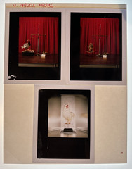 Nitin Vadukul Project 161 Negatives BASELINE Magazine Kodak 160VC Chicken