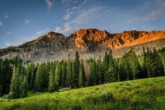 Digital Image Picture Photo Wallpaper Background Desktop AI Art Sample Product