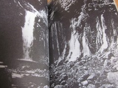 Daido MORIYAMA Photo Book NAKAJI JAPAN 2010 1 st. edition 1 st. print Obi band