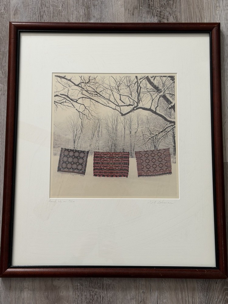 Limited edition photograph by Bill Coleman, titled «Amish No. 95 31/200