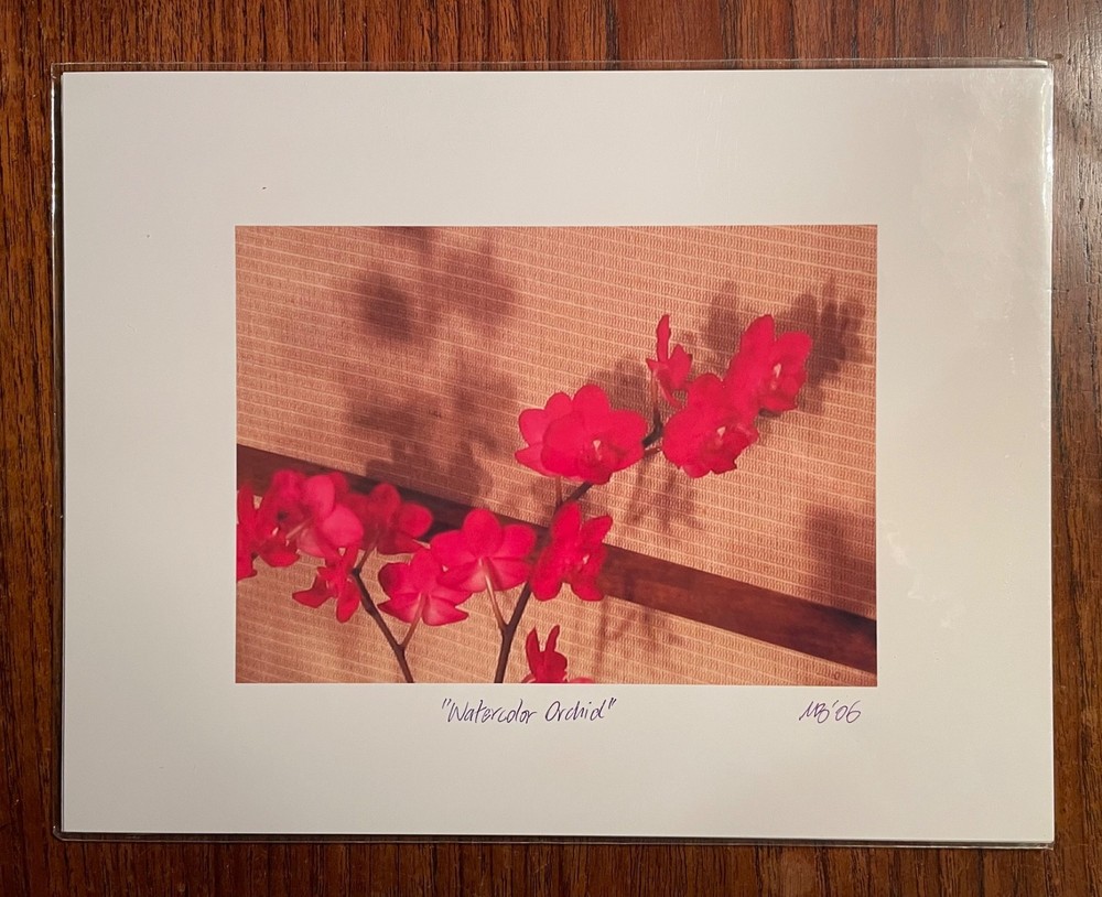 Original photographic print «Watercolor Orchid» by Michael Blumenstock